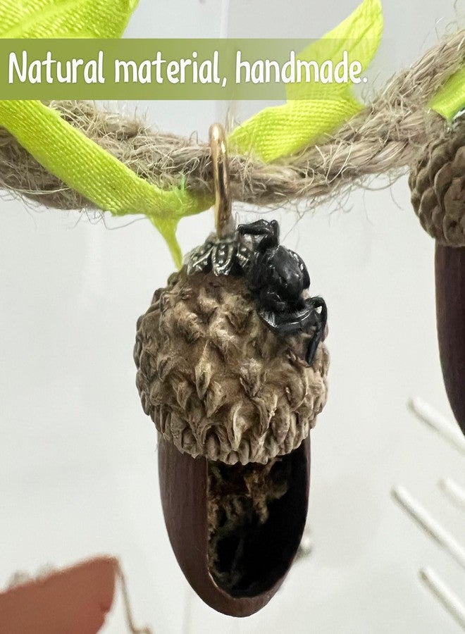 Daerky Jumping Spider Hide, Magnetic Climbing Rope Bridge, Handmade Real Acorn Hideaway Cave, Spider Platform, Decorative Accessory for Small Reptile Enclosures (Style 1) - Image 5